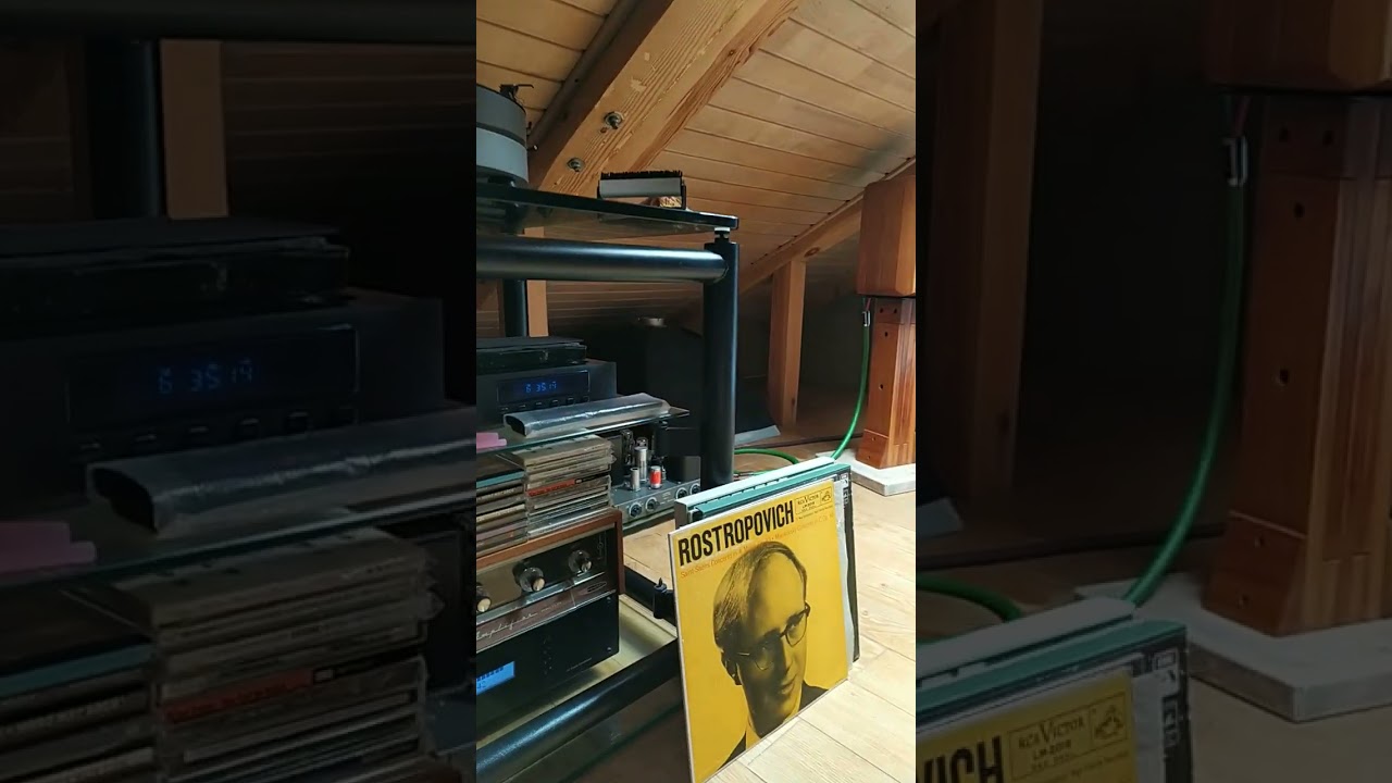 Ростропович, Сен-Санс, sonus faber minima fm2