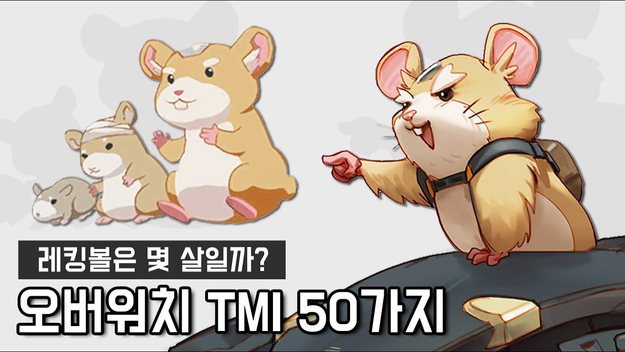 오버워치 TMI 50가지 모음