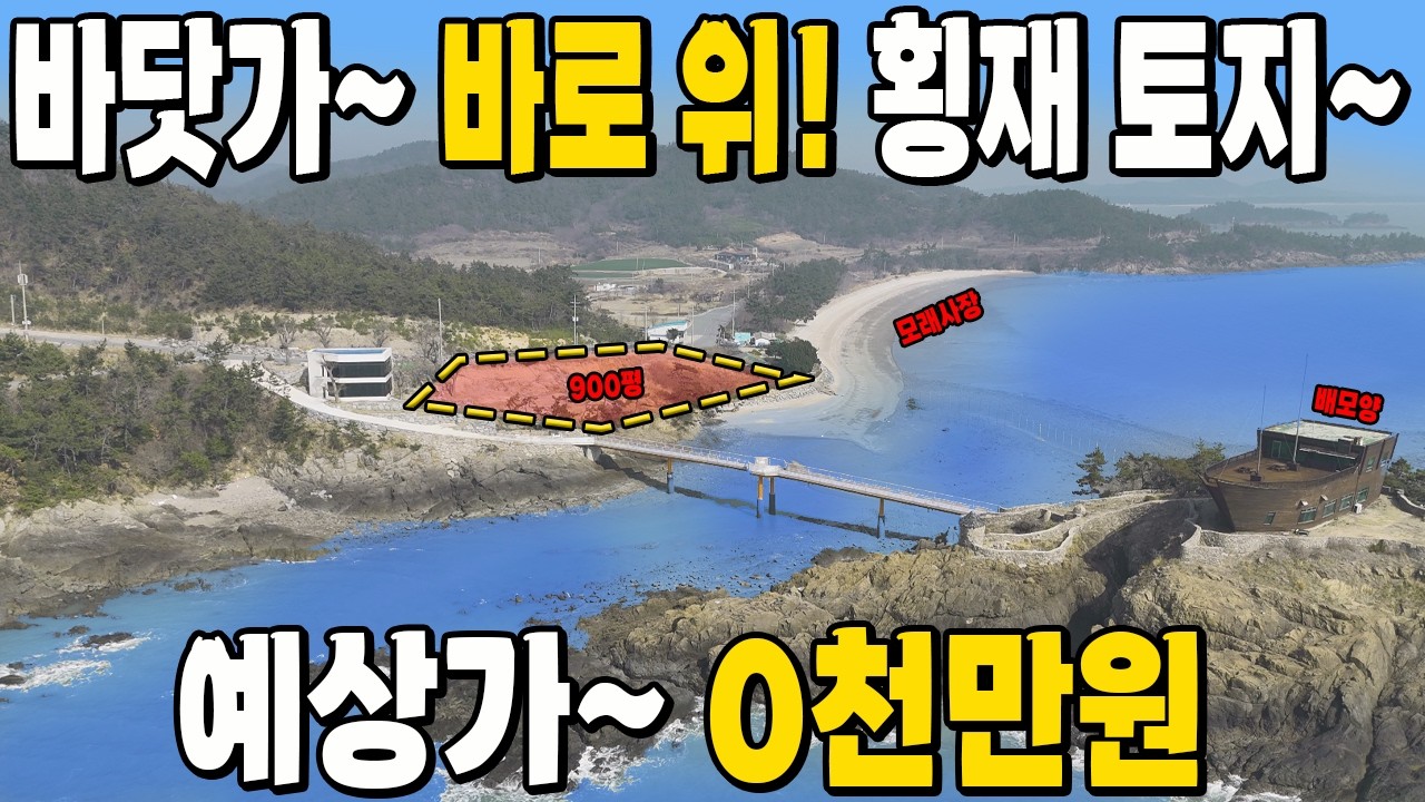 이런 횡재~ 초헐값 바닷가 코앞! 돈 퍼부어 놓은 토지가 쏟아진다. 900평 임야~