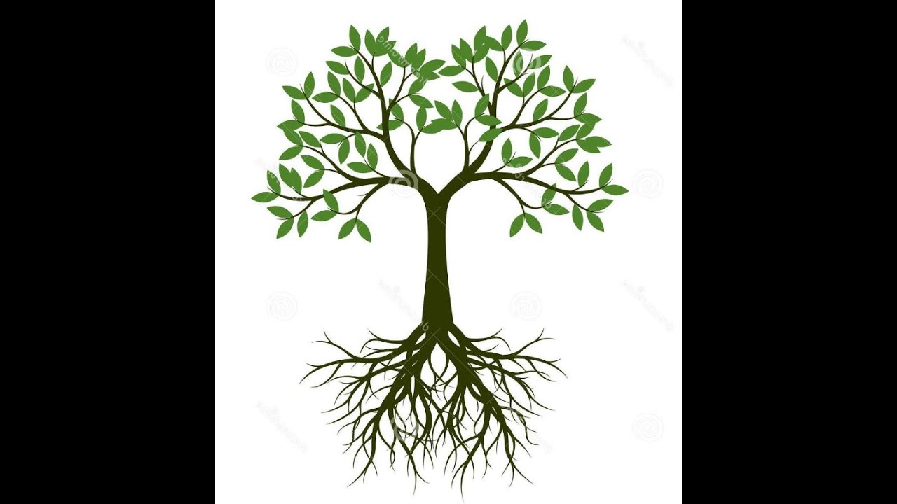 l'arbre 2025