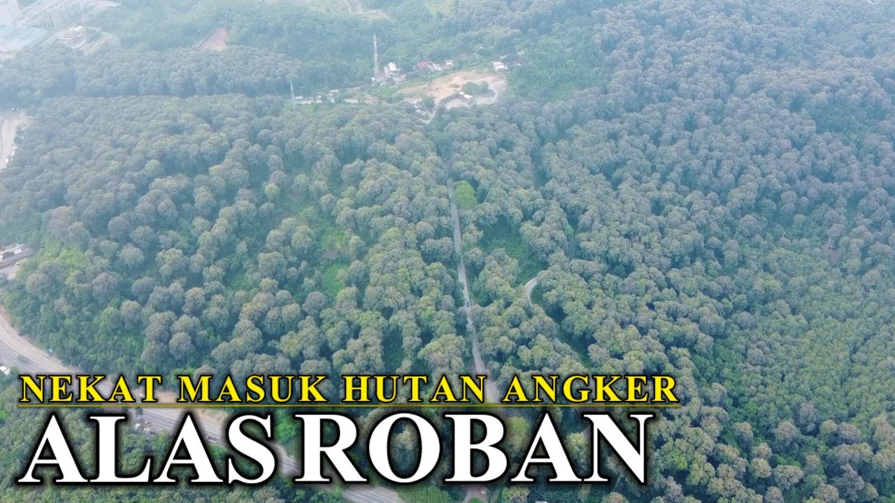NEKAT MASUK HUTAN ANGKER ALAS ROBAN HUTAN PALING ANGKER DI INDONESIA