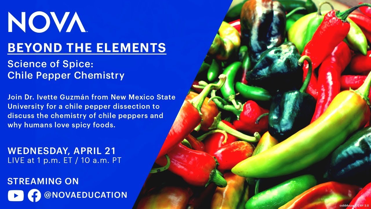 Science of Spice: Chile Pepper Chemistry