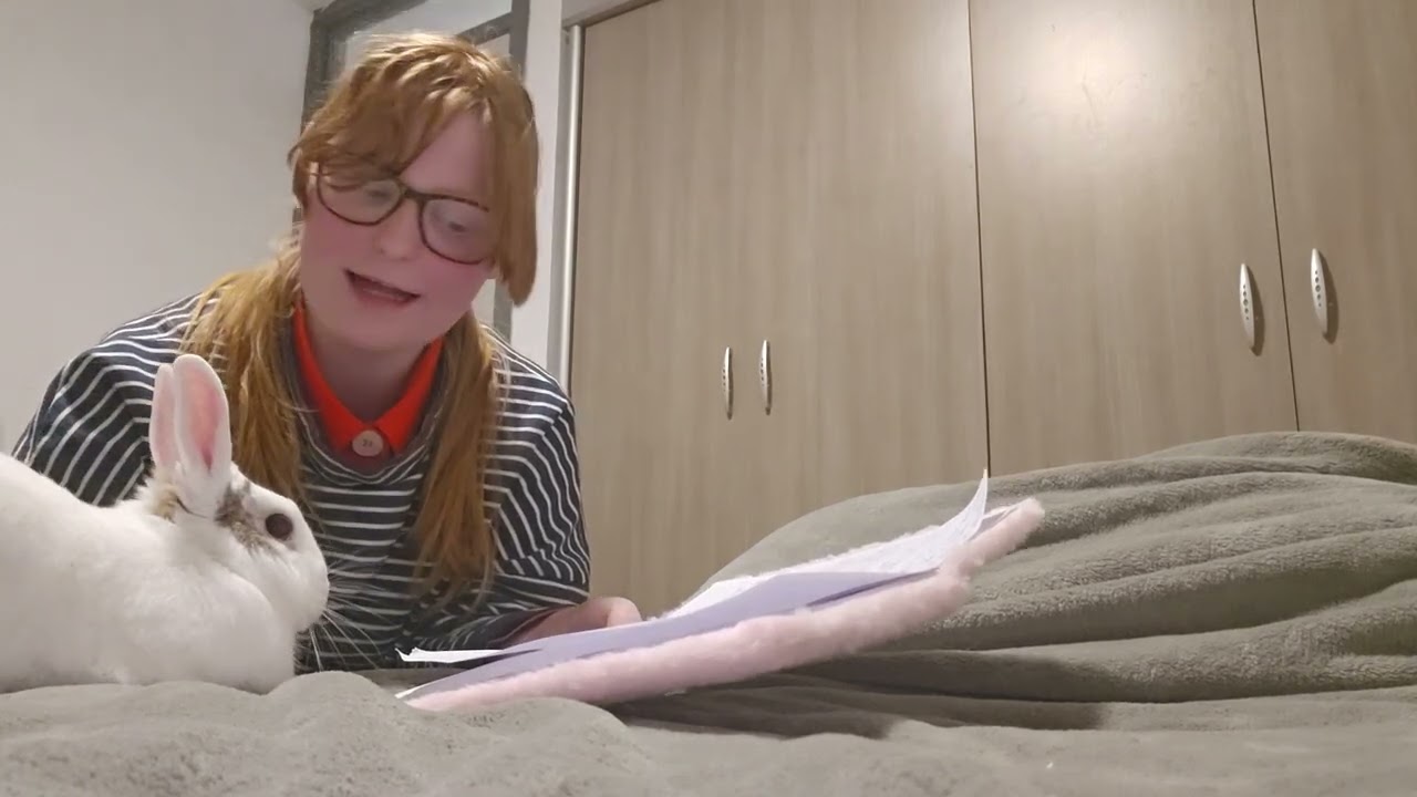 10 feiten over dwergkonijnen ♥️