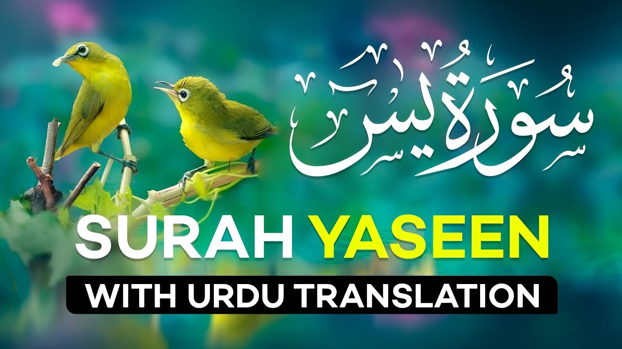 Surah Yasin with Urdu Translation Full | Beautiful Quran Recitation| Quran with Urdu & Hindi Tarjama