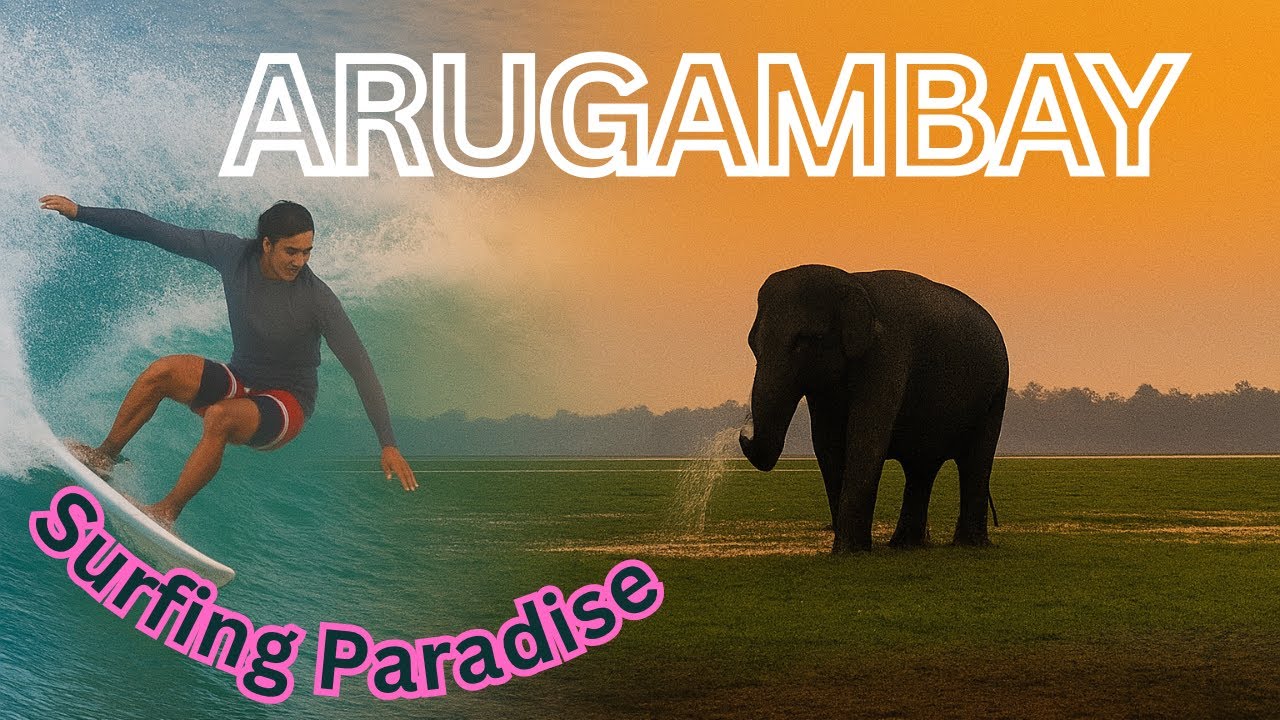 Arugam Bay-Eastern Coast Treasures of Sri Lanka🇱🇰 | Wild Elephants🐘| ආරුගම්බේ | Train Ride | Surfing