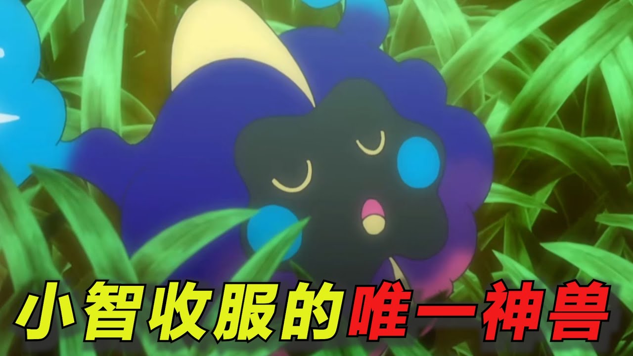 【宝可梦人物志】它是小智收服的第一只神兽，但小智却从未用它对战过
