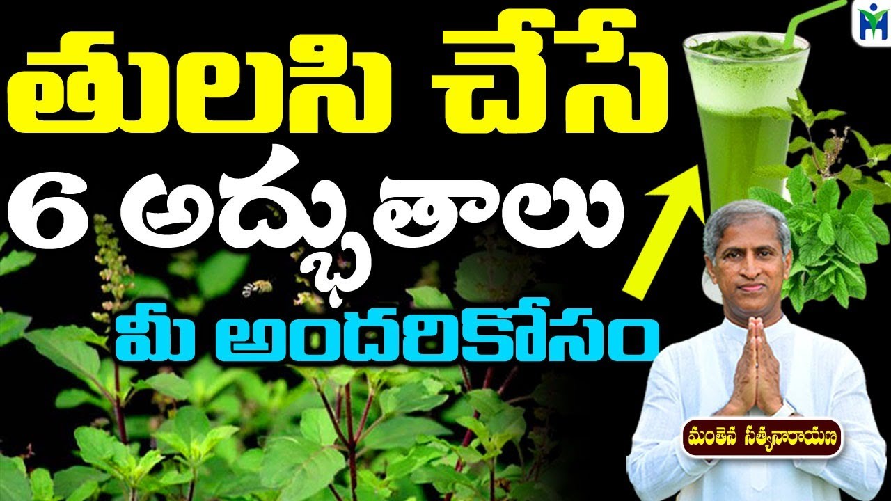 తులసి చేసే 6 అద్భుతాలు మీ అందరికోసం | Manthena Satyanarayana Raju | Health Mantra |