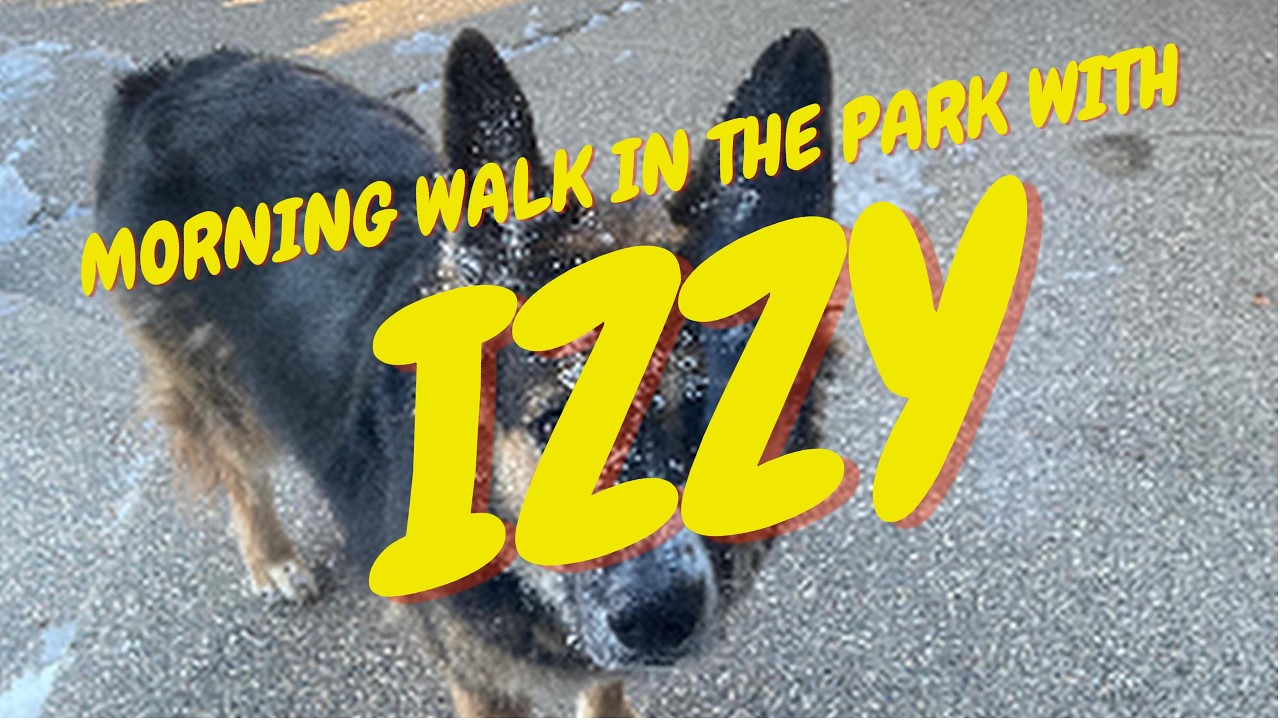 Peaceful Winter Morning Walk in a City Park 🐾 Izzy’s Snowy Park Vlog