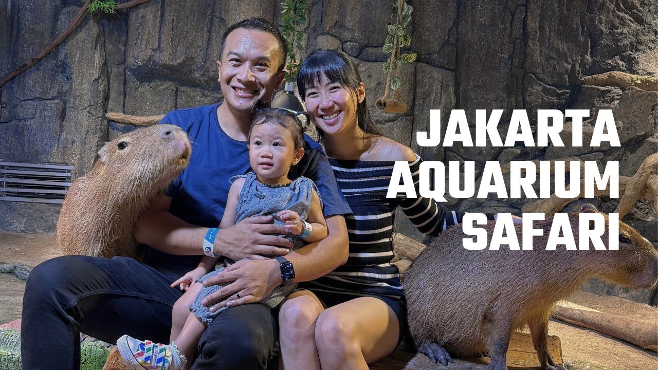 A Day at Jakarta AQuarium Safari