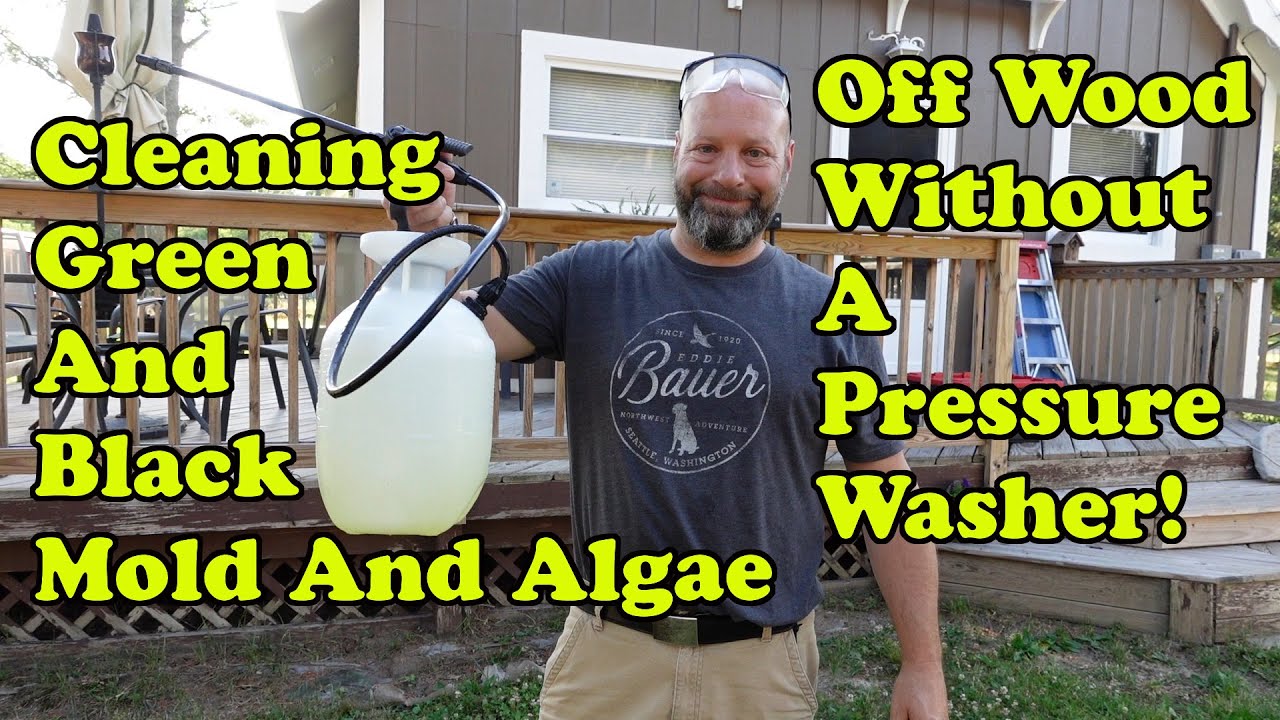 Cleaning Black And Green Algae And Mold Off Wood With Out A Pressure Washer