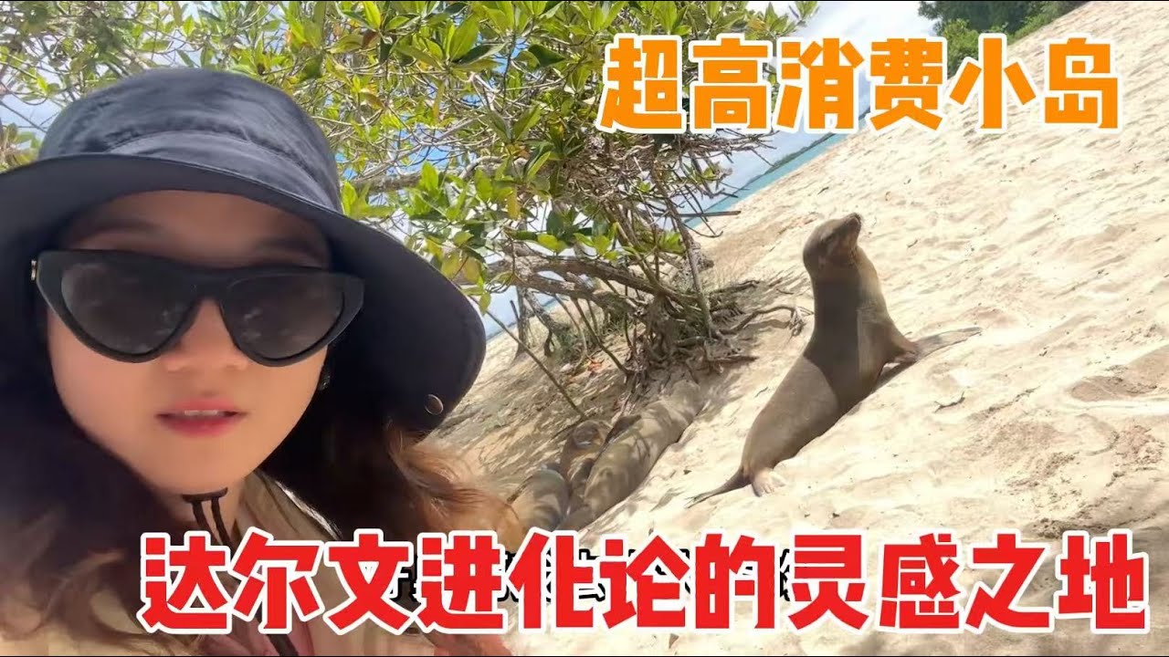 上島管控超嚴格、稀有動物一次看個夠！達爾文進化論誕生地究竟多迷人？ | 茉莉環球旅行日記
