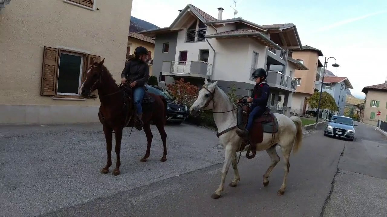 Sporminore riprese Nardelli Walter