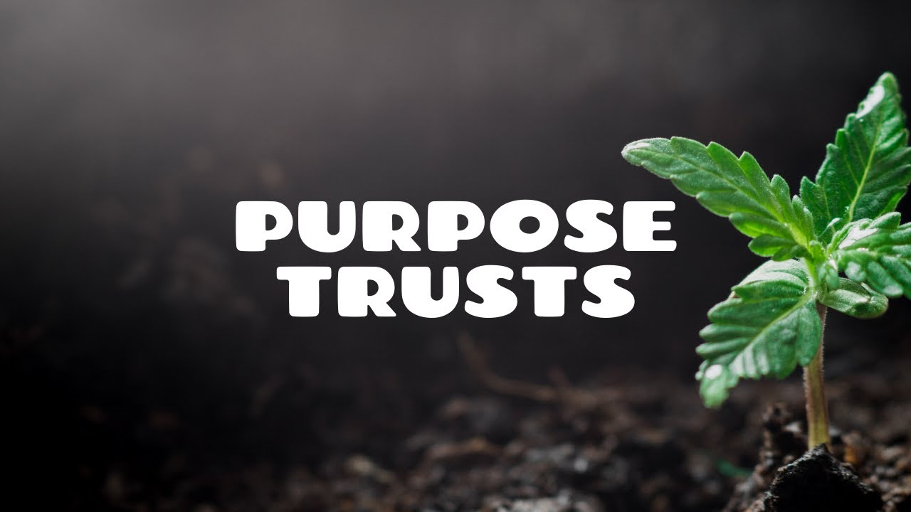 Purpose Trusts