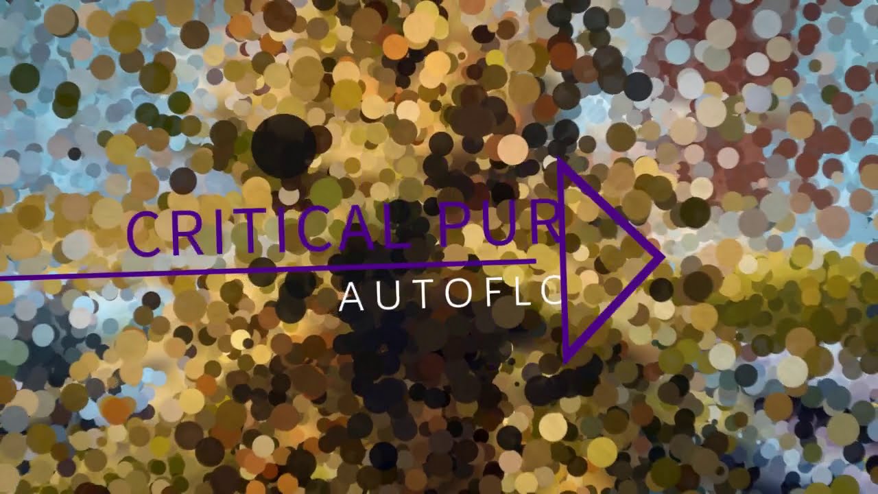 Critical Purple Autoflower Harvest Day