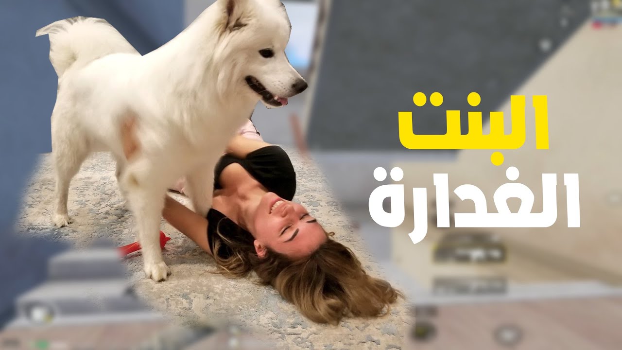 هذه البنت غدارة بشكل مو طبيعي 😨😓 ولكن وجدت لها حل مثالي بطلت تغدر اي احد 🤣🔥 PUBG MOBILE