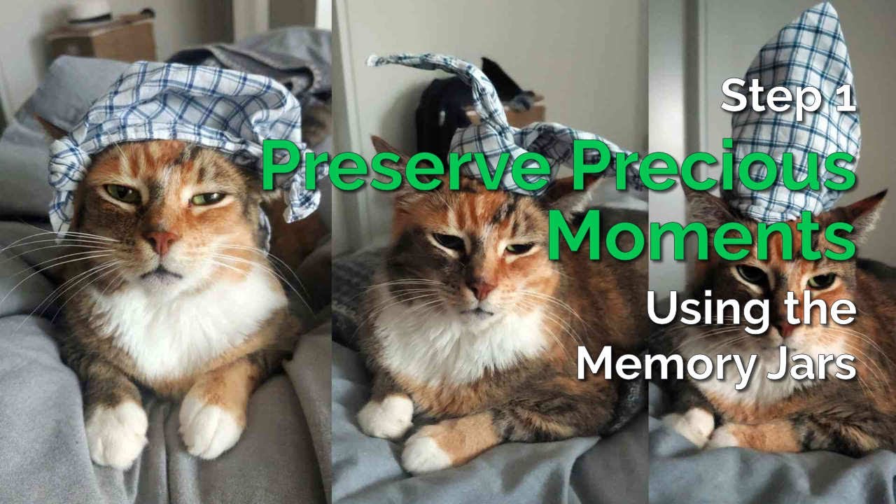 Step 1: Pet Pawprints & Moments | My LifeJars