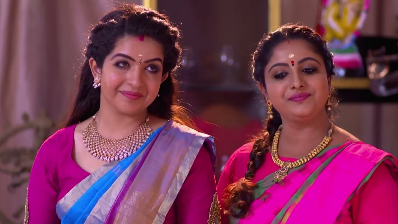 Chembarathi - Full Ep - 366 - Kalyani Anand, Anand Krishnan, Thrichambarath - Zee Keralam