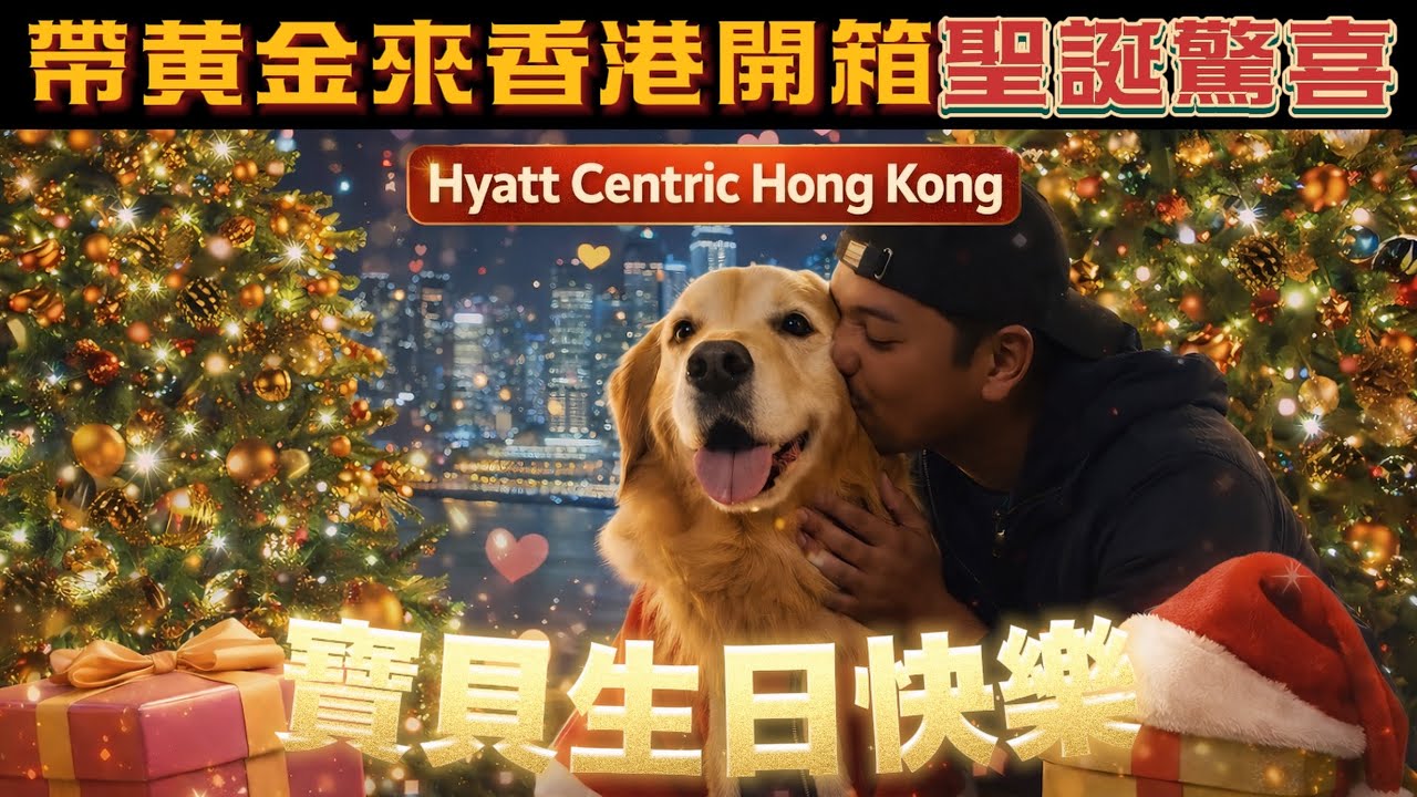帶黃金來香港開箱聖誕生日雙重驚喜🎁｜#HyattCentric 🐶【PET IN HONG KONG PART 3】🎄🐶✨