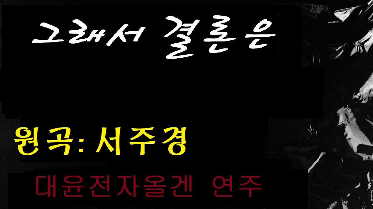 그래서 결론은 대윤전자올겐 연주 원곡 서주경 