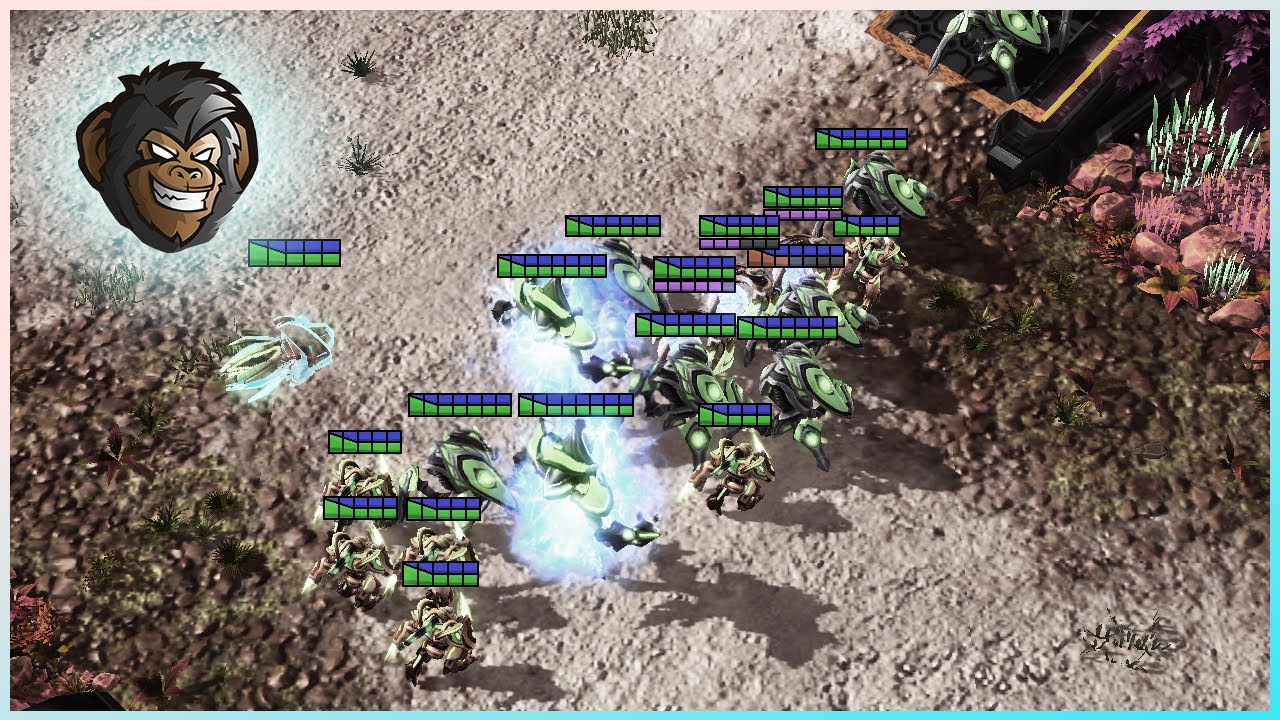 They Couldn't Handle My Protoss