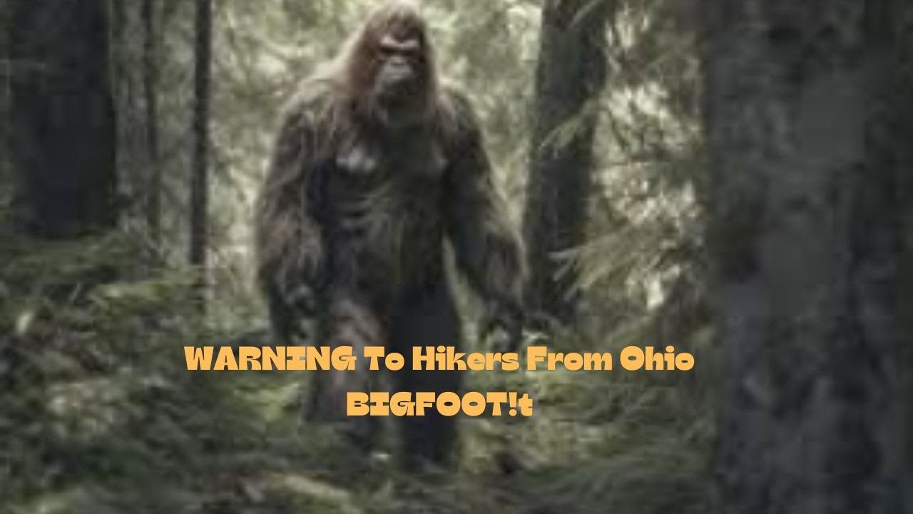 A WARNING From Bigfoot in Hinckley Reservation