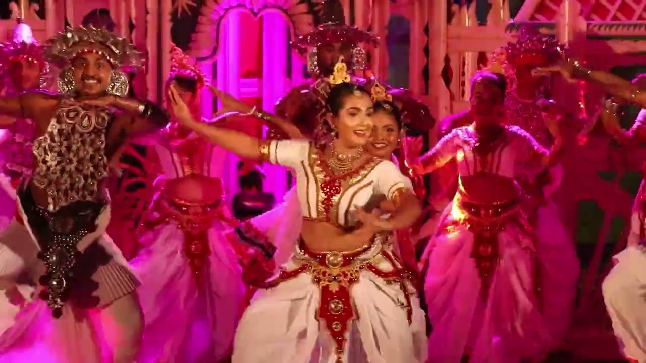 නර්ත රසෝඝා - 2026 part 11