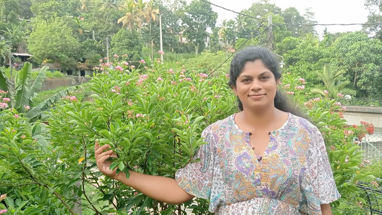 Full garden part-2