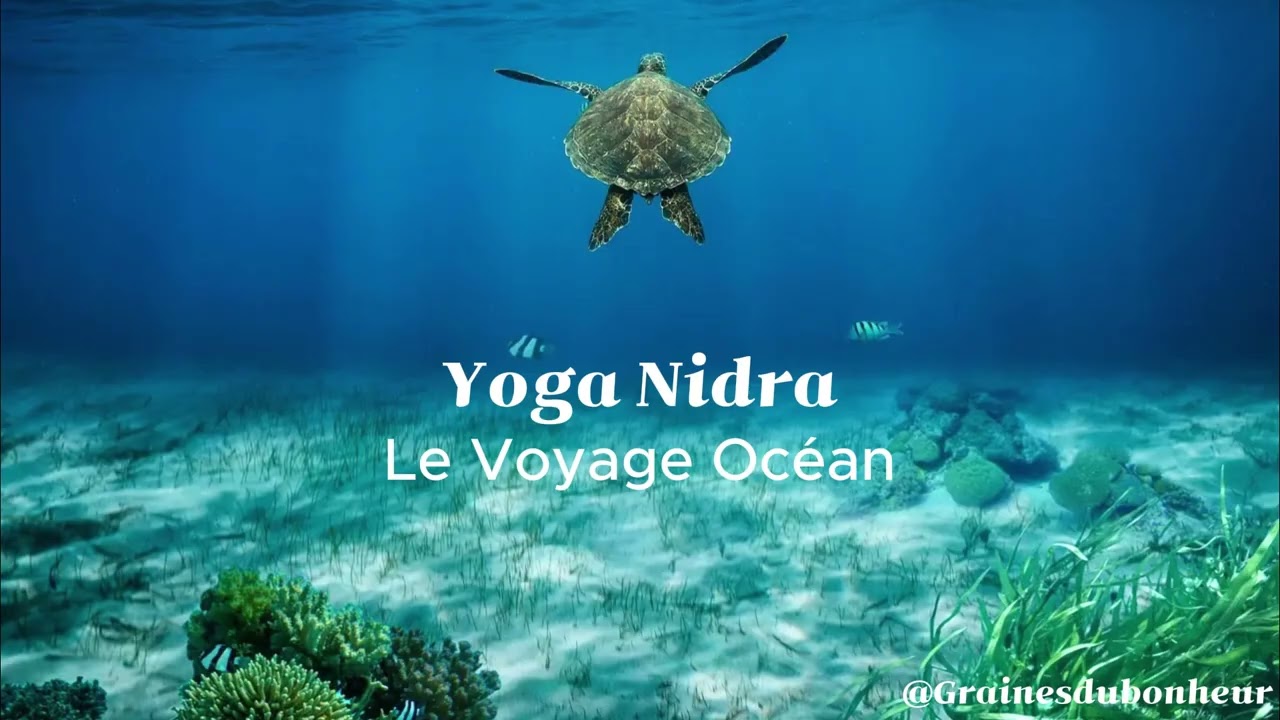 Relaxation profonde Yoga Nidra 🎧🌙  Prépare-toi pour ce Voyage Captivant 🐬 Bonne Détente 🌙