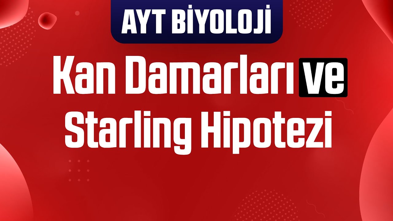 21) Kan Damarları , Starling Hipotezi , Kan Grupları