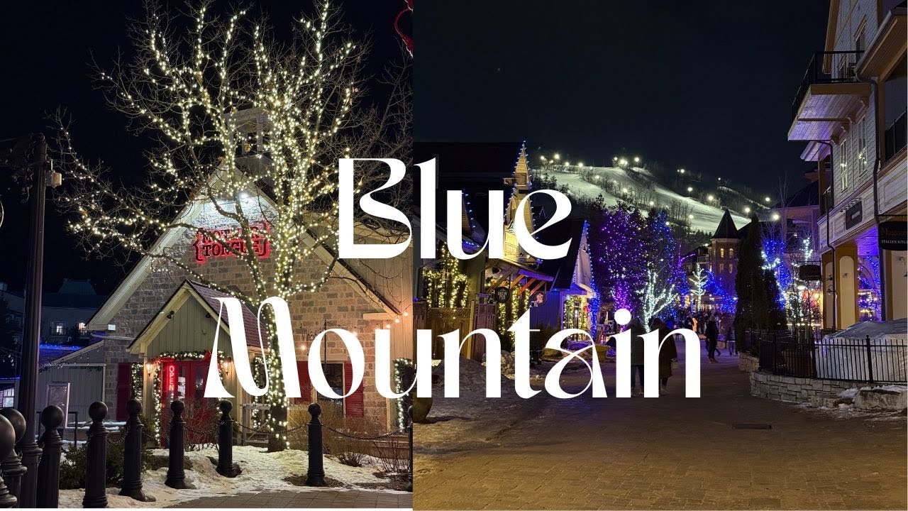 A Perfect Getaway to Blue Mountain | ഒരു പർഫെക്ട് ഗെറ്റ്എവേ