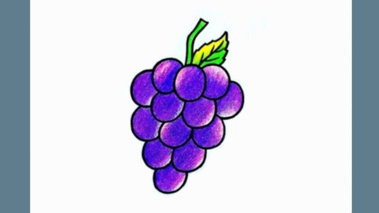 How to Draw and Color Grapes with Crayons – Easy Tutorial