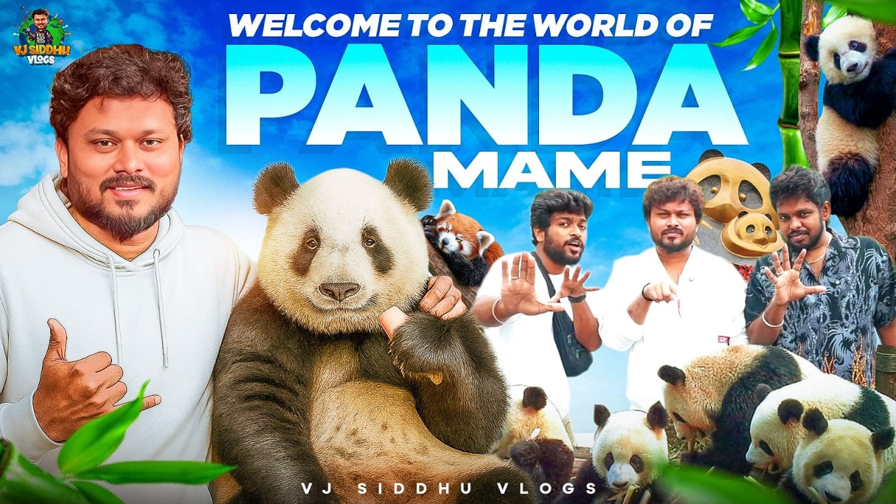 Red Colour-ல Panda இருக்கா🐼🤩 | China Series | Ep - 09 | Vj Siddhu Vlogs