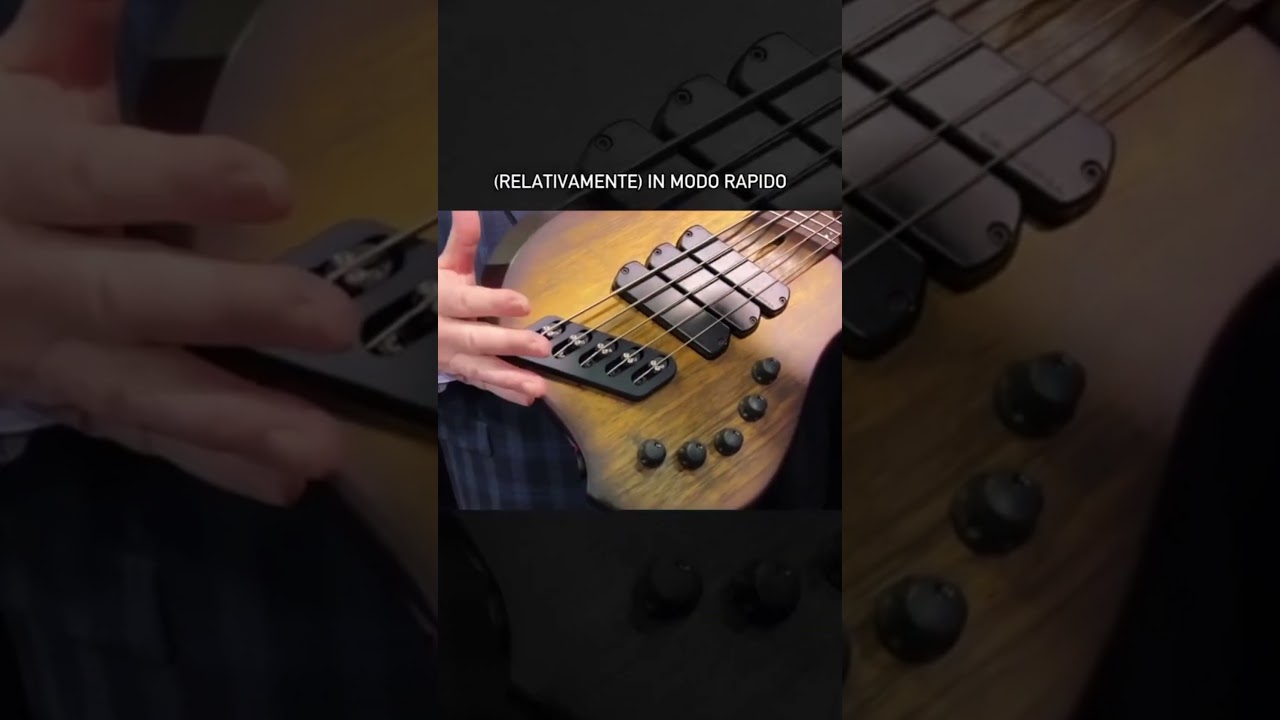 Speciale NAMM 2025! Discover the Dingwall Fast Lane #namm2025