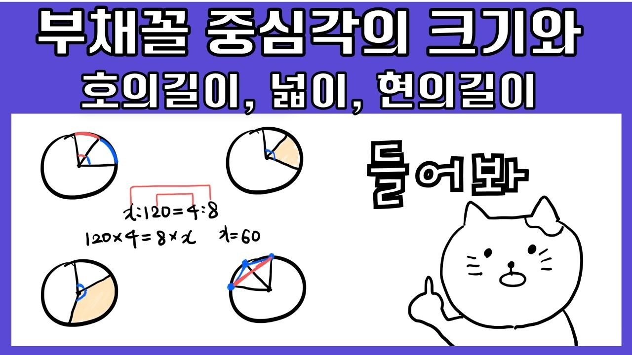 중1 부채꼴 중심각의 크기와 호의길이, 넓이, 현의길이 관계