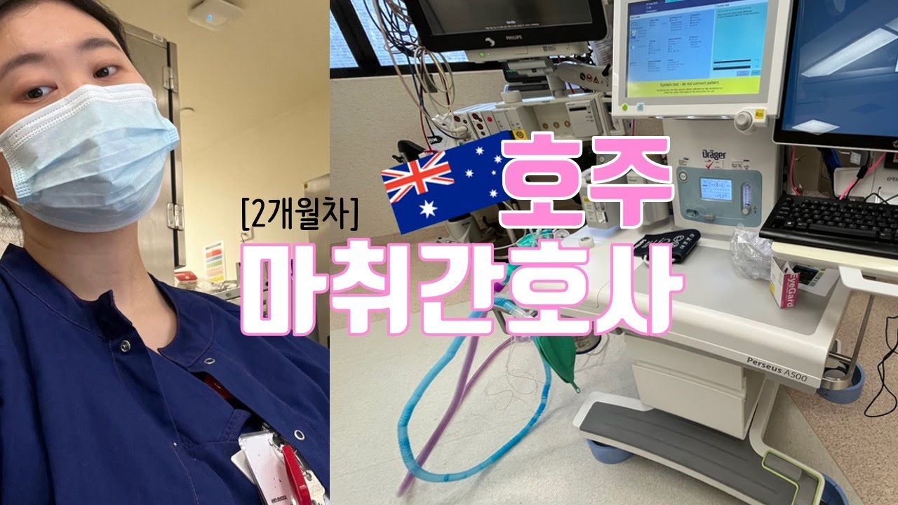호주 멜버른에 사는 마취과 간호사는 무슨일을 할까?