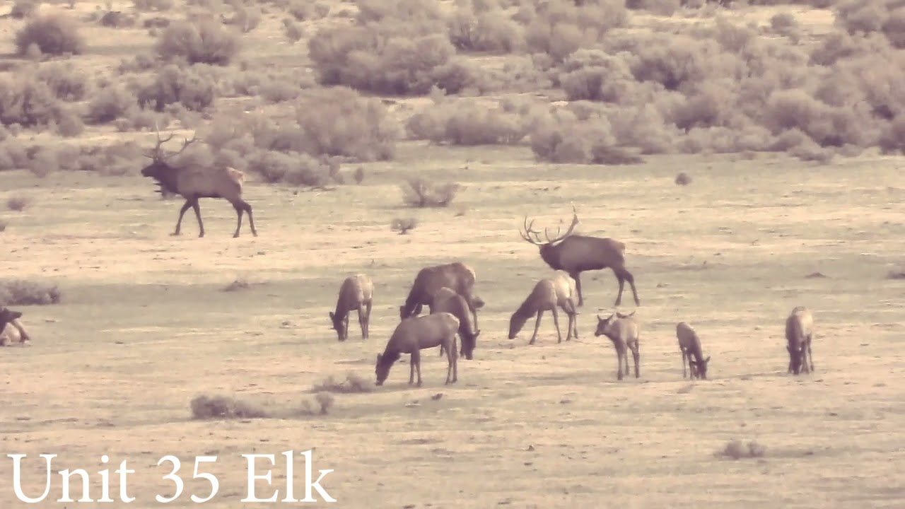 Colorado GMU Unit 35 Hunting Information