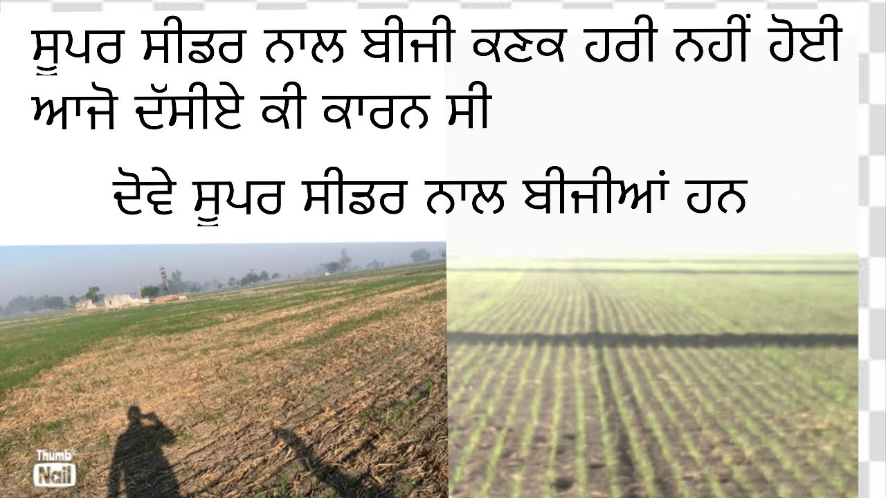 Super seeder wali kanak bare jankari