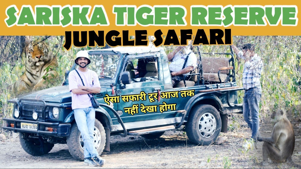 अब तक का सबसे सफल सफारी टूर Sariska national park | Sariska Tigers Reserve