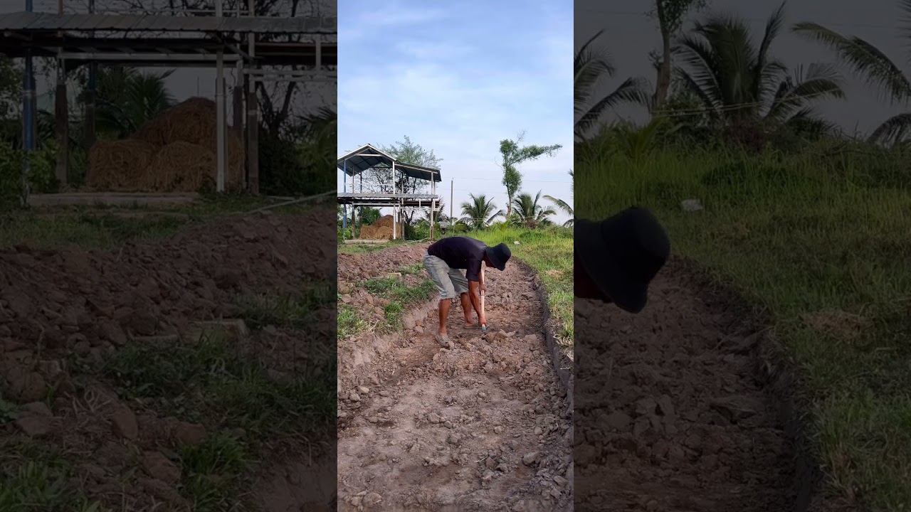 #farmlife