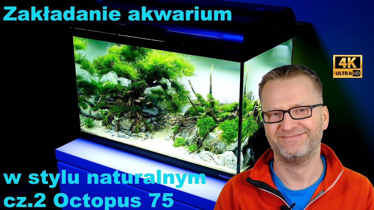 Zakładanie akwarium w stylu naturalnym cz. 2 Octopus 75