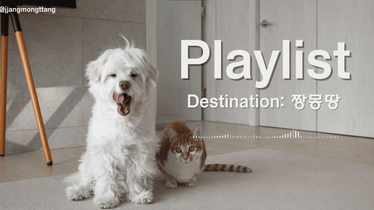 [Playlist] 🐶 Destination: 짱몽땅 | 도입부터 몽땅이 춤추게 만드는 플리 | Chill R&B · Trendy Pop · Cozy