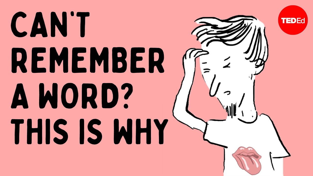 This is what happens in your brain when you can&rsquo;t recall a word - Cella Wright