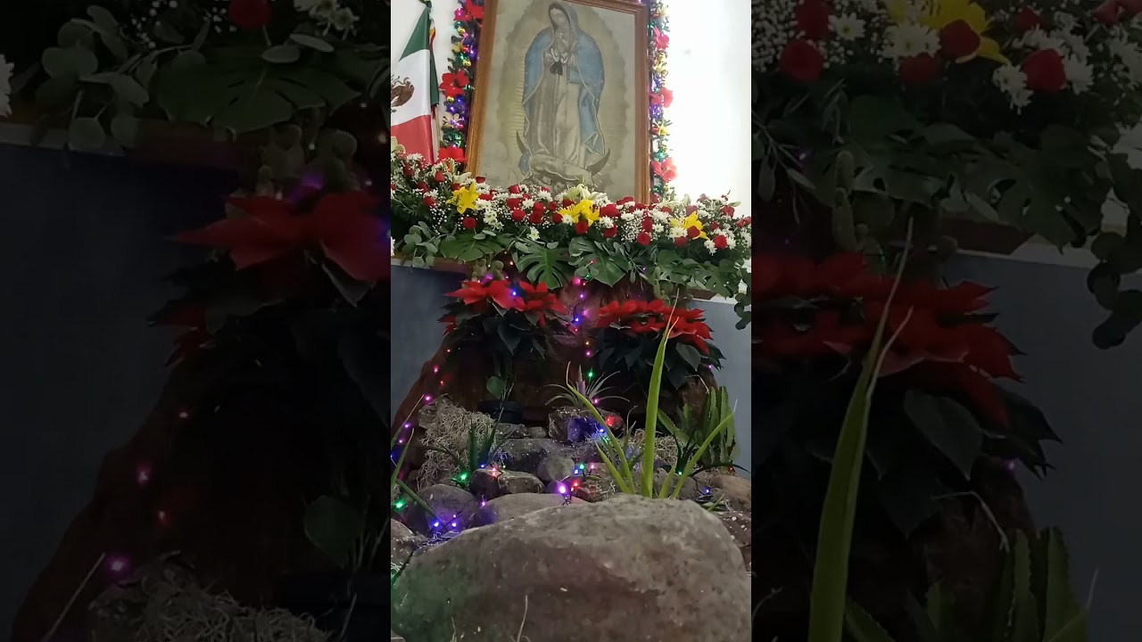 🌹Serenata a Mi Morenita el pasado 12 de Diciembre 🌹