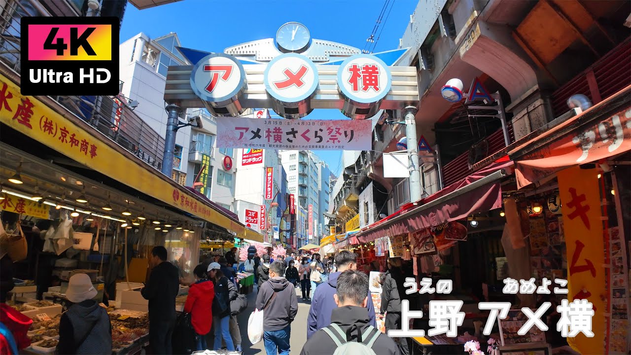 【4K】上野アメ横を休日散歩 (Mar. 2025) | Holiday walk on Ueno Ameyoko shopping street.