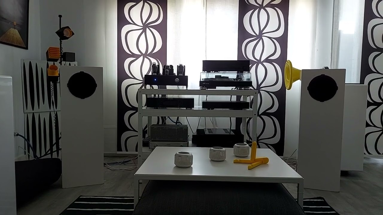 supravox 215 rtf64 + kit1 HuM  audionote 300B