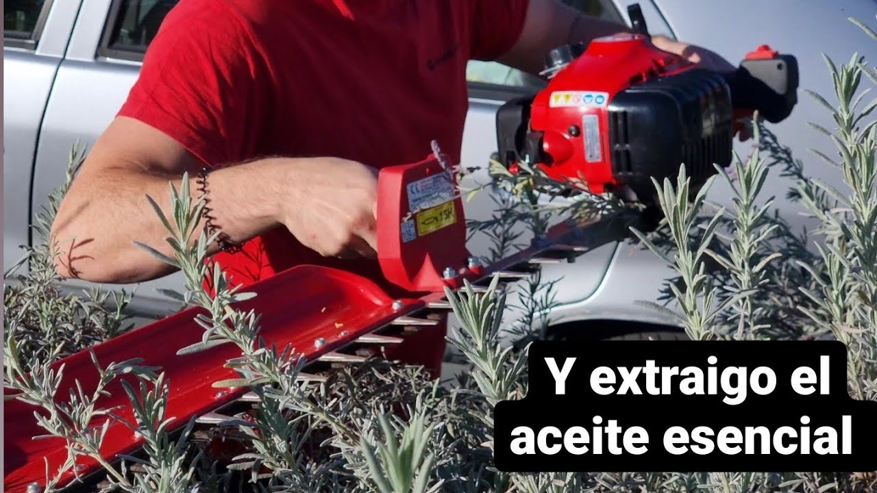 El mejor CORTASETOS para ti!