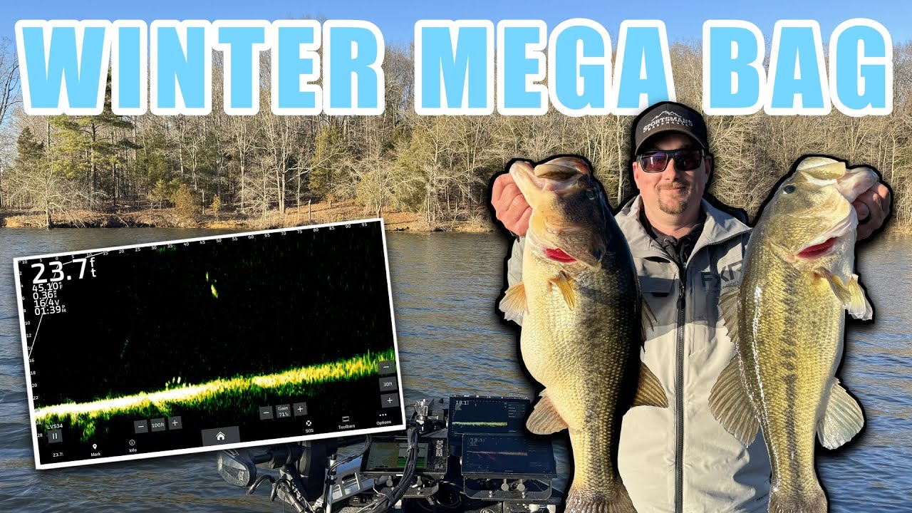 Catching GIANT winter bass with LIVESCOPE!