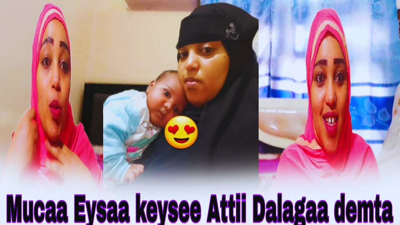 🛑Gafii Teysaniif Mucaa Eysaa keysee Dalagaa oltaa warraa jataniif video tanaa Dawadhaa