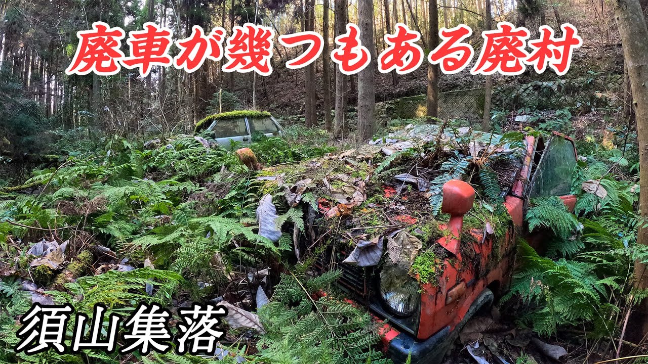 廃車が幾つも放置されている廃村 - 須山集落