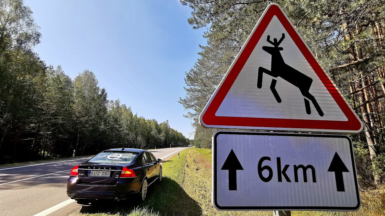 Trip to Volvo summer fest 2019.